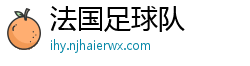 法国足球队